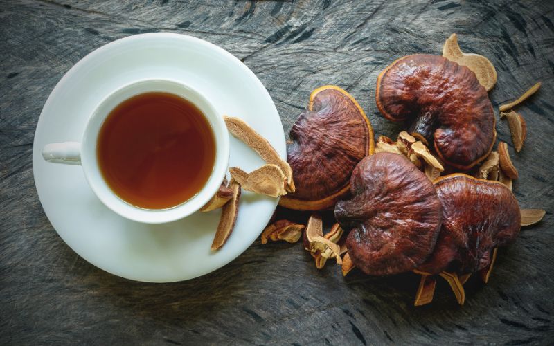 Infusion de Reishi