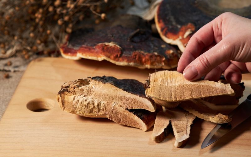 Reishi préparé et découpé